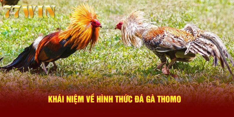 Người chơi cần biết cách đọc kèo chính xác trước khi tham gia